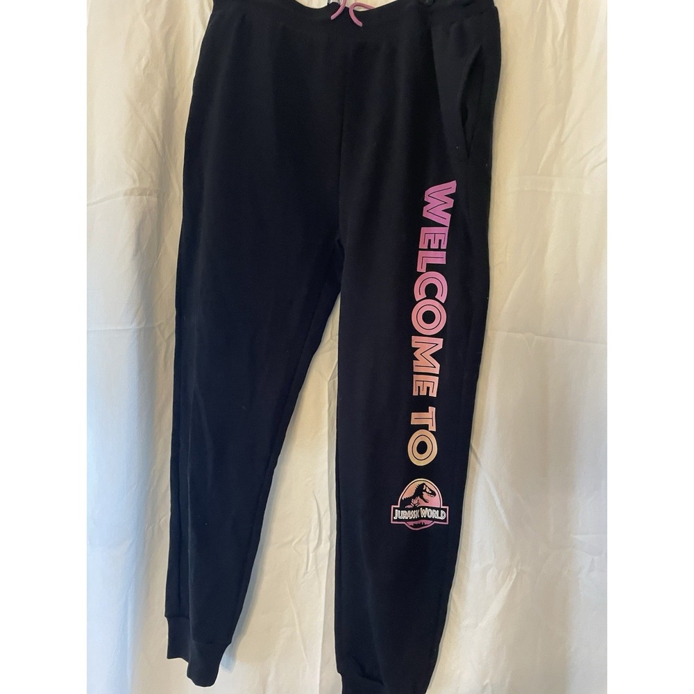 Jurassic World Dominion Sweatpants Size XXL Black Womens Joggers Drawstring
